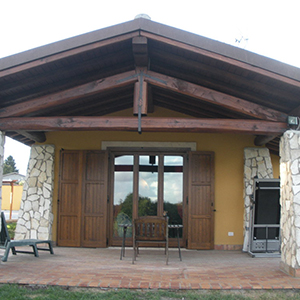 carpiate e tetti in castagno