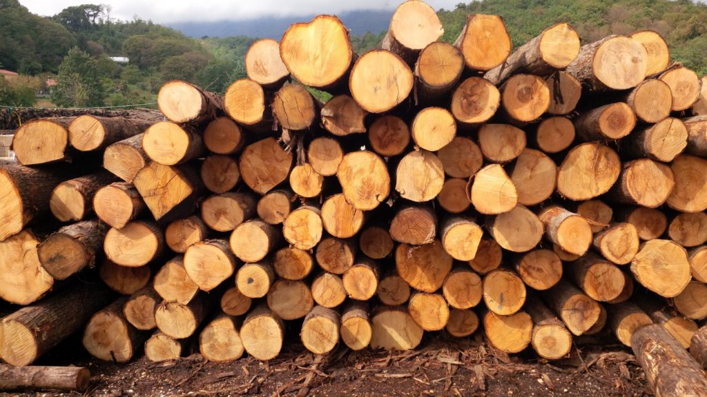 pali in legno di castagno